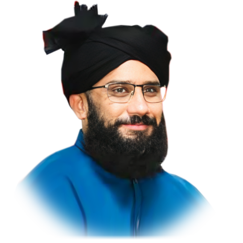 Official portrait of the Head of the Institution